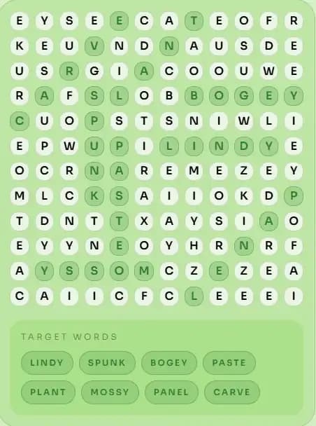 Word Search